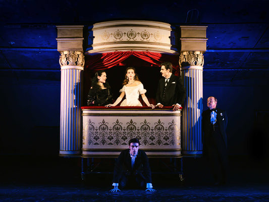 LA SIGNORA DELLE CAMELIE